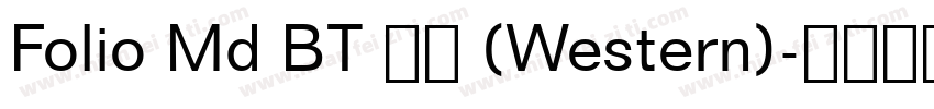 Folio Md BT 普通 (Western)字体转换